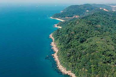 篮球运动员竞技状态实时监控及训练调整系统开发，篮球运动员在比赛中表现出的竞技水平